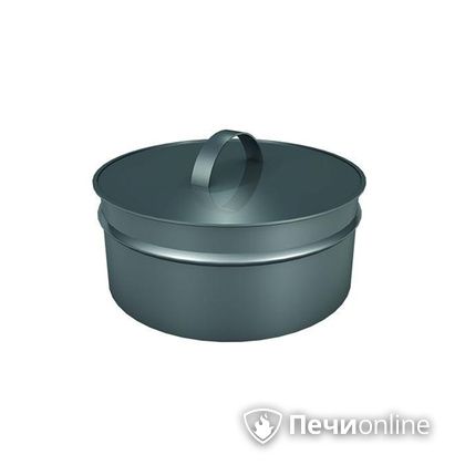 Заглушки Теплов и Сухов Заглушка ревизии Термо-Р 304 0.5 D220(120) в Чернушке