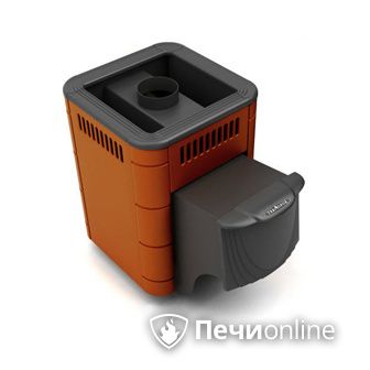 Дровяная банная печь TMF Оса Carbon терракота дверь антрацит в Чернушке